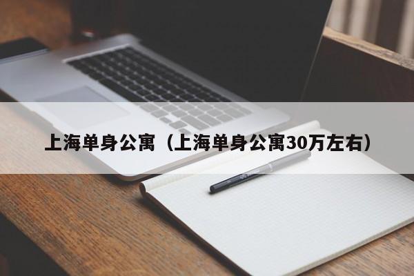 上海单身公寓（上海单身公寓30万左右）